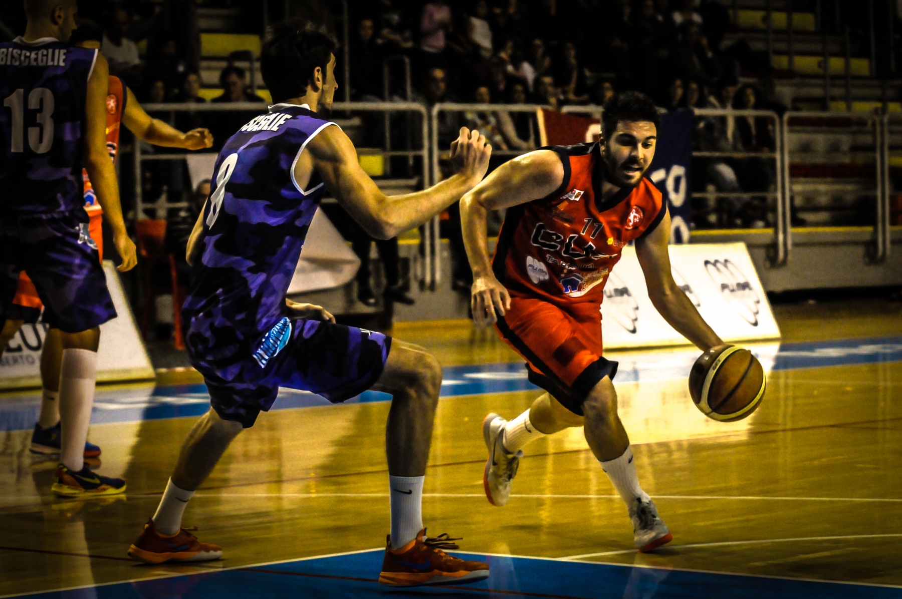 A Lions Basket Bisceglie